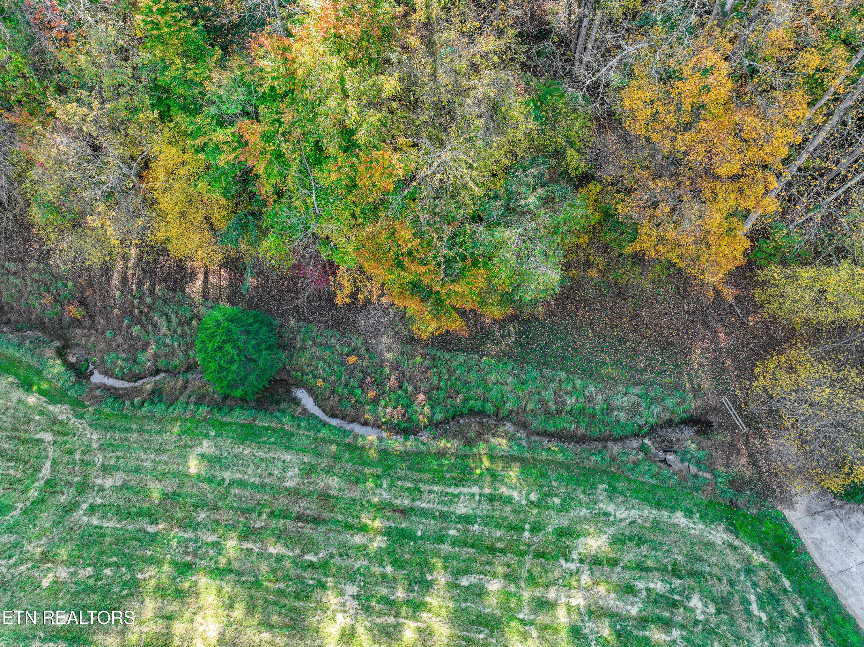 951 Scenic River Road Madisonville, TN 37354 - Photo 15 of 29 DJI_0894