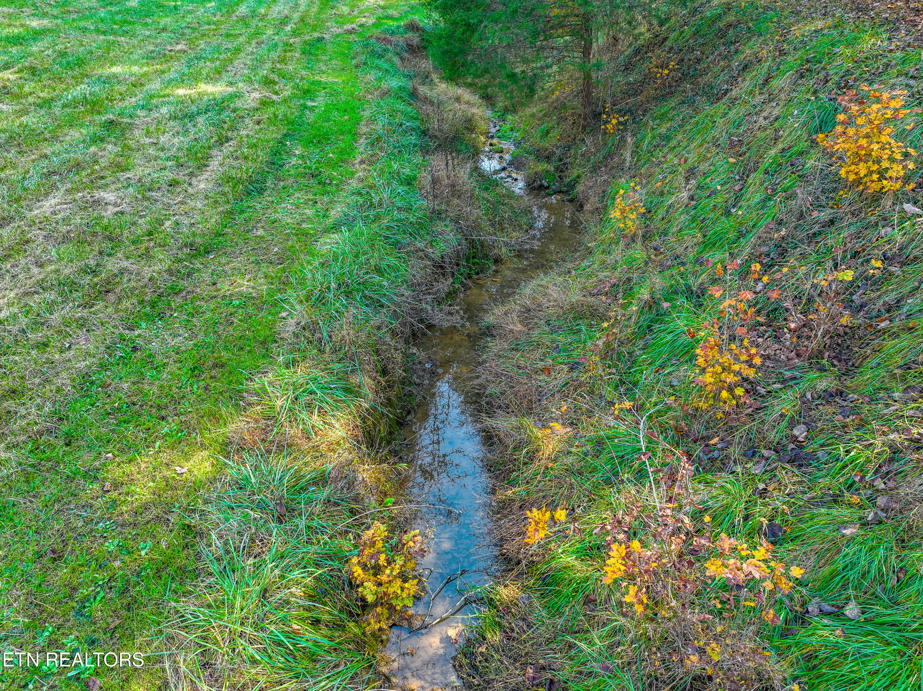 951 Scenic River Road Madisonville, TN 37354 - Photo 24 of 29 DJI_0900