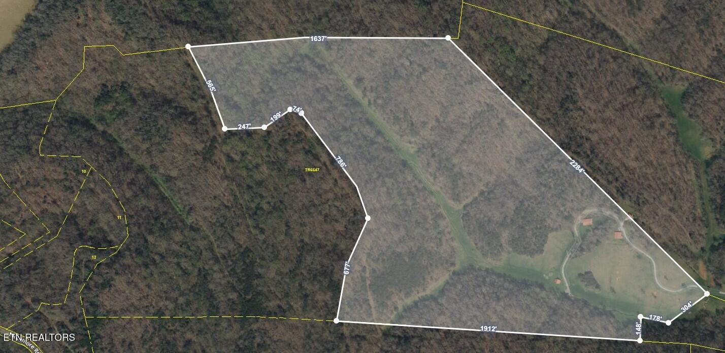 951 Scenic River Road Madisonville, TN 37354 - Photo 4 of 29 Screenshot 2024-11-01 144606