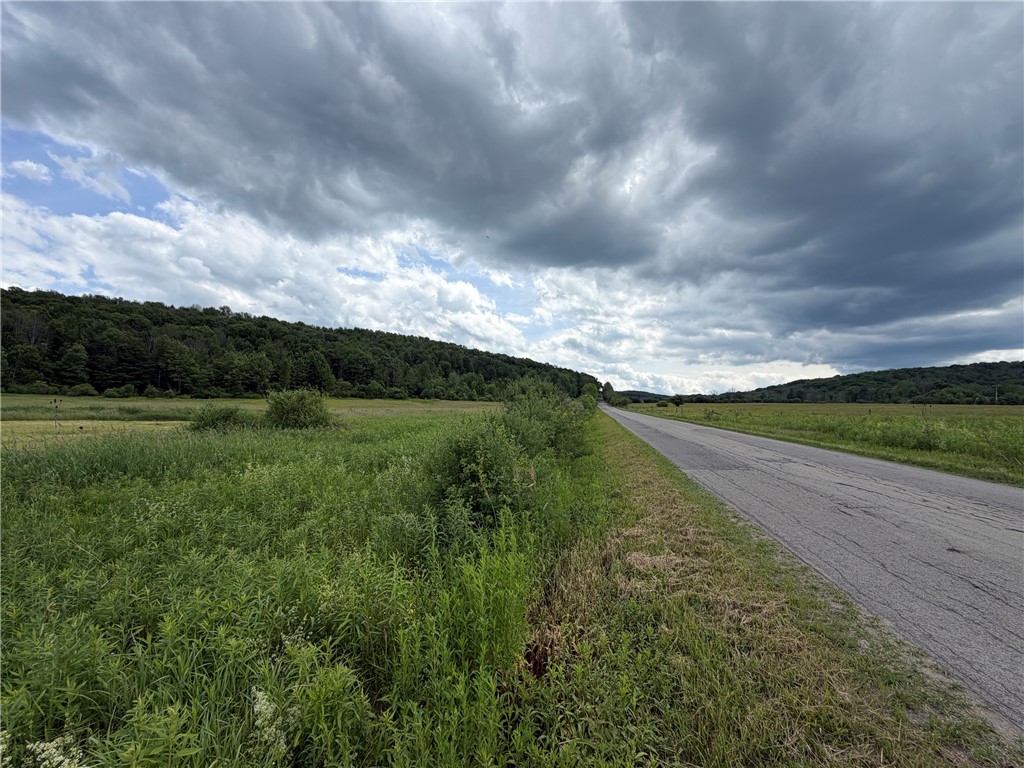 Lot 9 Summit Road Cuba, NY 14727 - Photo 11 of 22