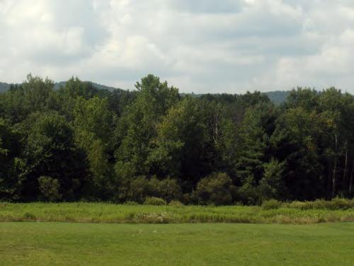 308 Red Barn Road, Unit 308 Dalton, MA 01226 - Photo 4 of 7 Additional Photo