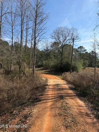 $390,000 | 622 Highway 583, Tylertown, MS 39667