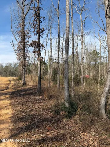 $390,000 | 622 Highway 583, Tylertown, MS 39667
