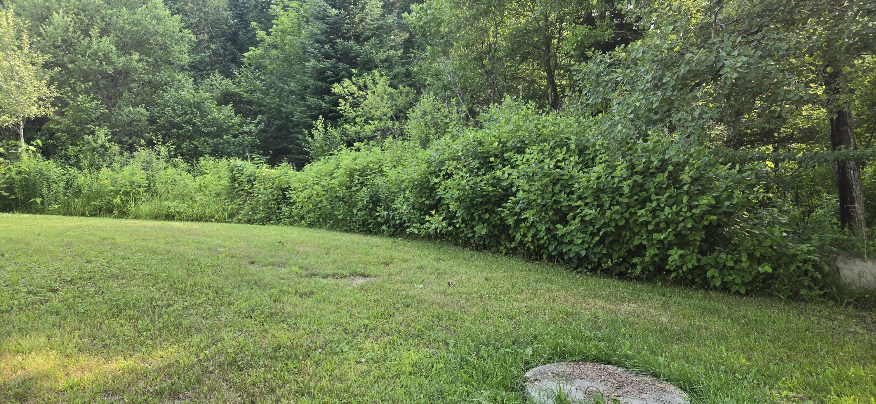 390 Dickey Road Allagash, ME 04774 - Photo 4 of 26 20260714_172013