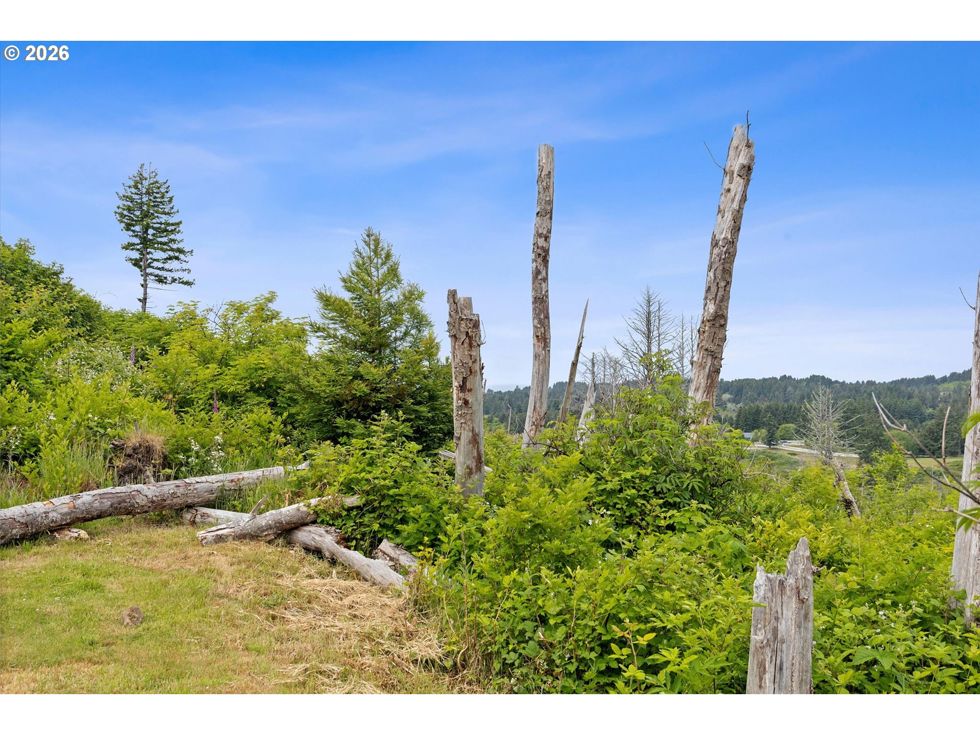 7595 Northeast Viewcrest Street Otis, OR 97368 - Photo 17 of 19