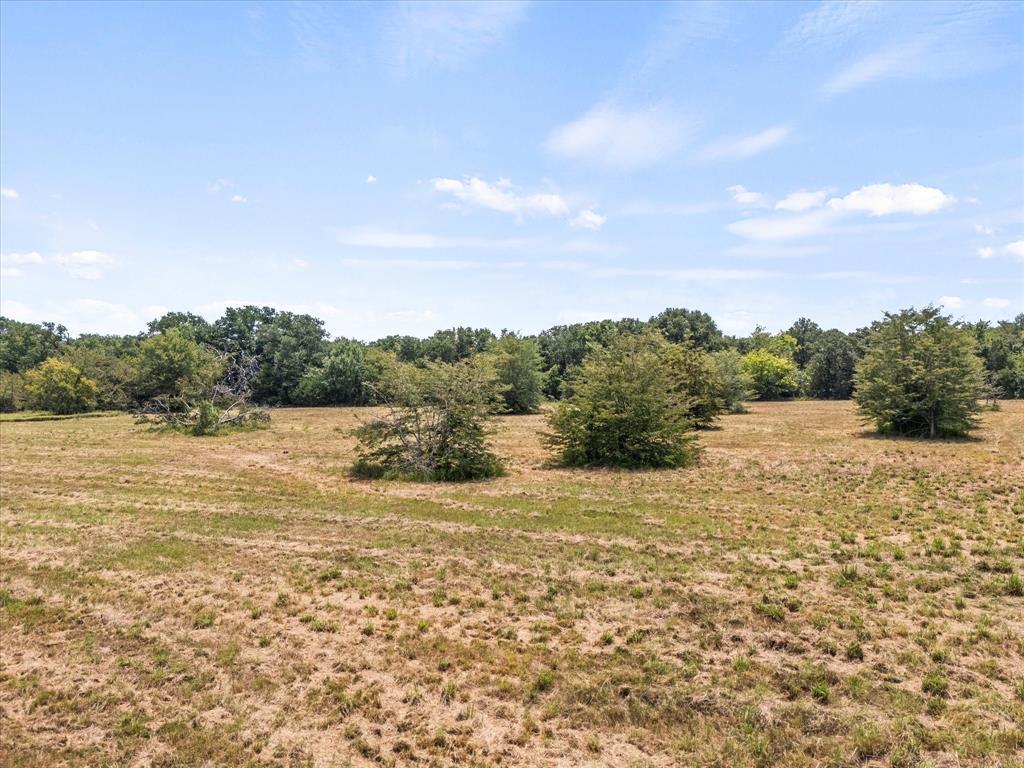 883 Fm 1653 Ben Wheeler, TX 75754 - Photo 11 of 19 a view of lake view and mountain view