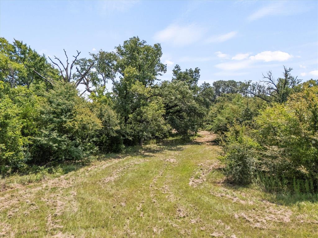 883 Fm 1653 Ben Wheeler, TX 75754 - Photo 12 of 19 a view of a yard with an outdoor space