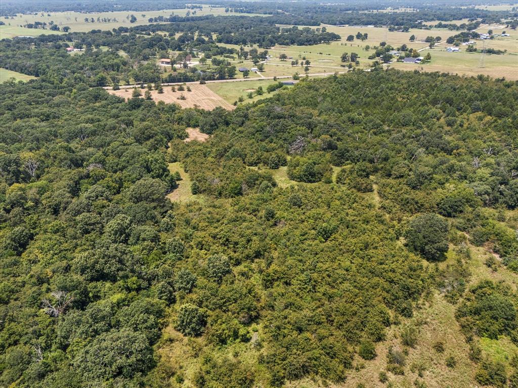 883 Fm 1653 Ben Wheeler, TX 75754 - Photo 13 of 19 view of a lake with houses