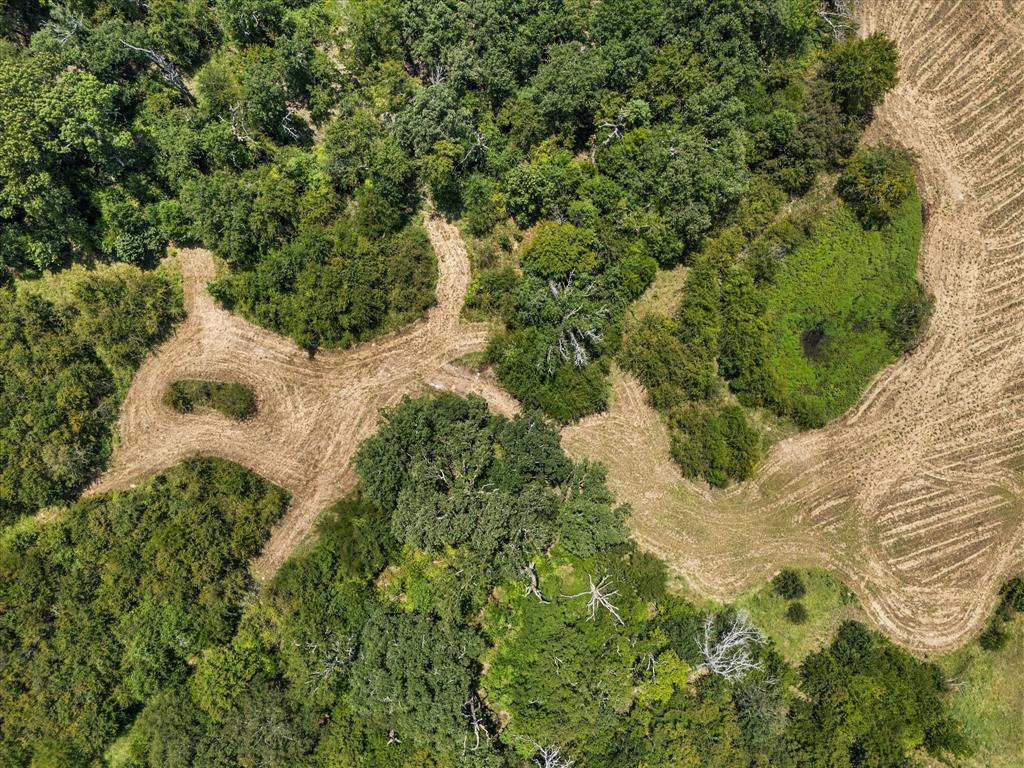 883 Fm 1653 Ben Wheeler, TX 75754 - Photo 15 of 19 a view of a forest with a tree