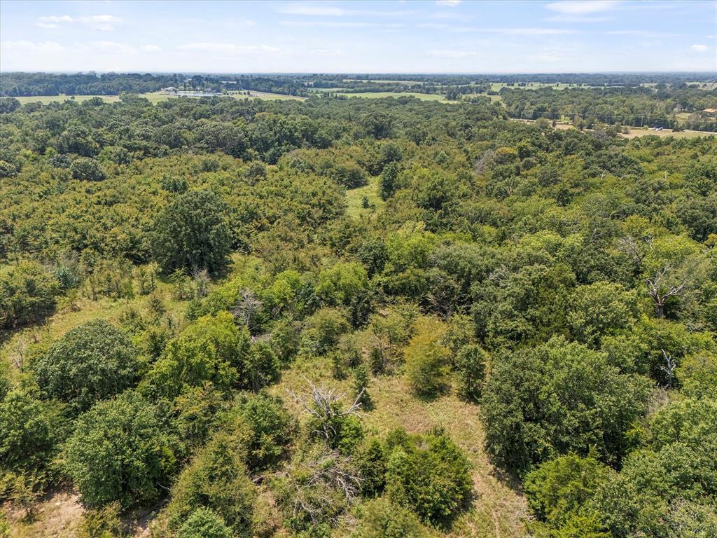883 Fm 1653 Ben Wheeler, TX 75754 - Photo 17 of 19 a view of a city with lush green forest