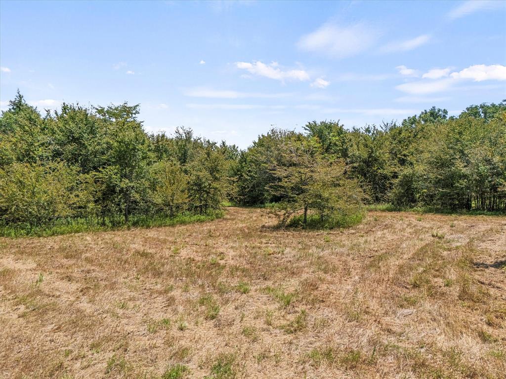 883 Fm 1653 Ben Wheeler, TX 75754 - Photo 18 of 19 a view of a yard with a tree
