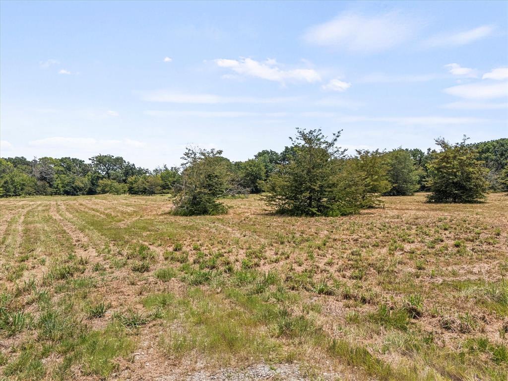 883 Fm 1653 Ben Wheeler, TX 75754 - Photo 19 of 19 a view of lake and mountain view