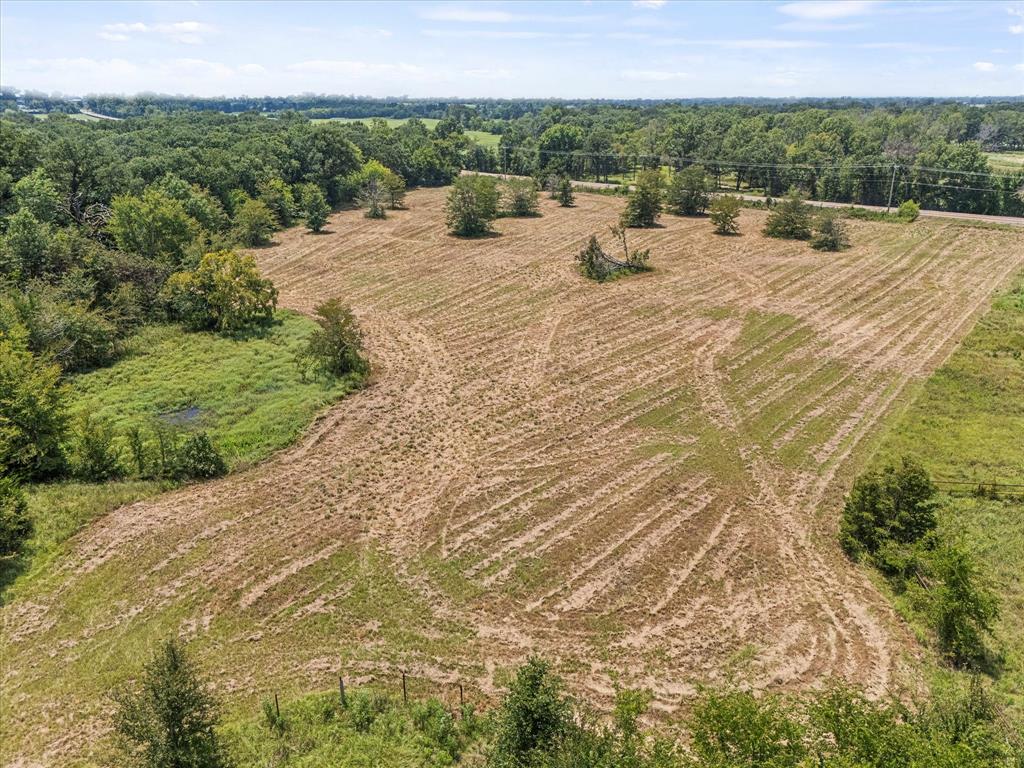 883 Fm 1653 Ben Wheeler, TX 75754 - Photo 4 of 19 a view of a terrace with a garden