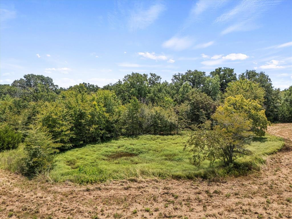 883 Fm 1653 Ben Wheeler, TX 75754 - Photo 10 of 19 a view of a field with plants and trees