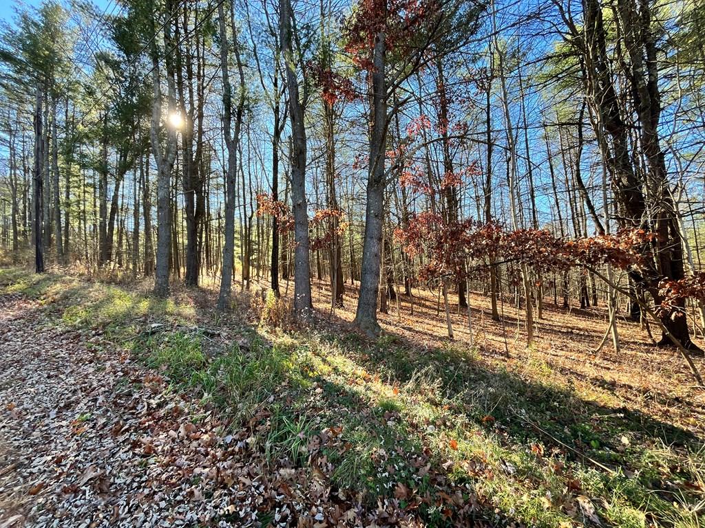 0 Riter/powderhouse Road Corning, NY 14830 - Photo 1 of 1 Gallery Image 1