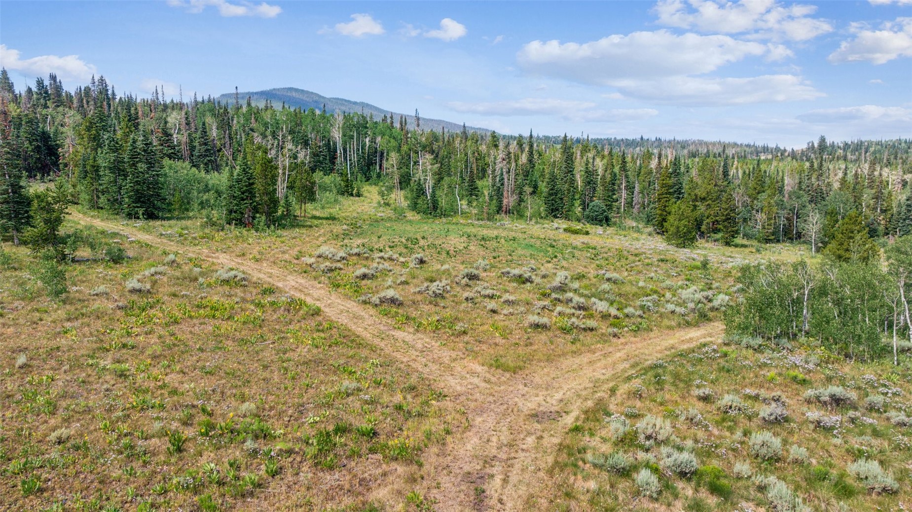 Lot Ar Lot Ar Spring Creek Ranch Road Silverthorne, CO 80498 - Photo 2 of 14