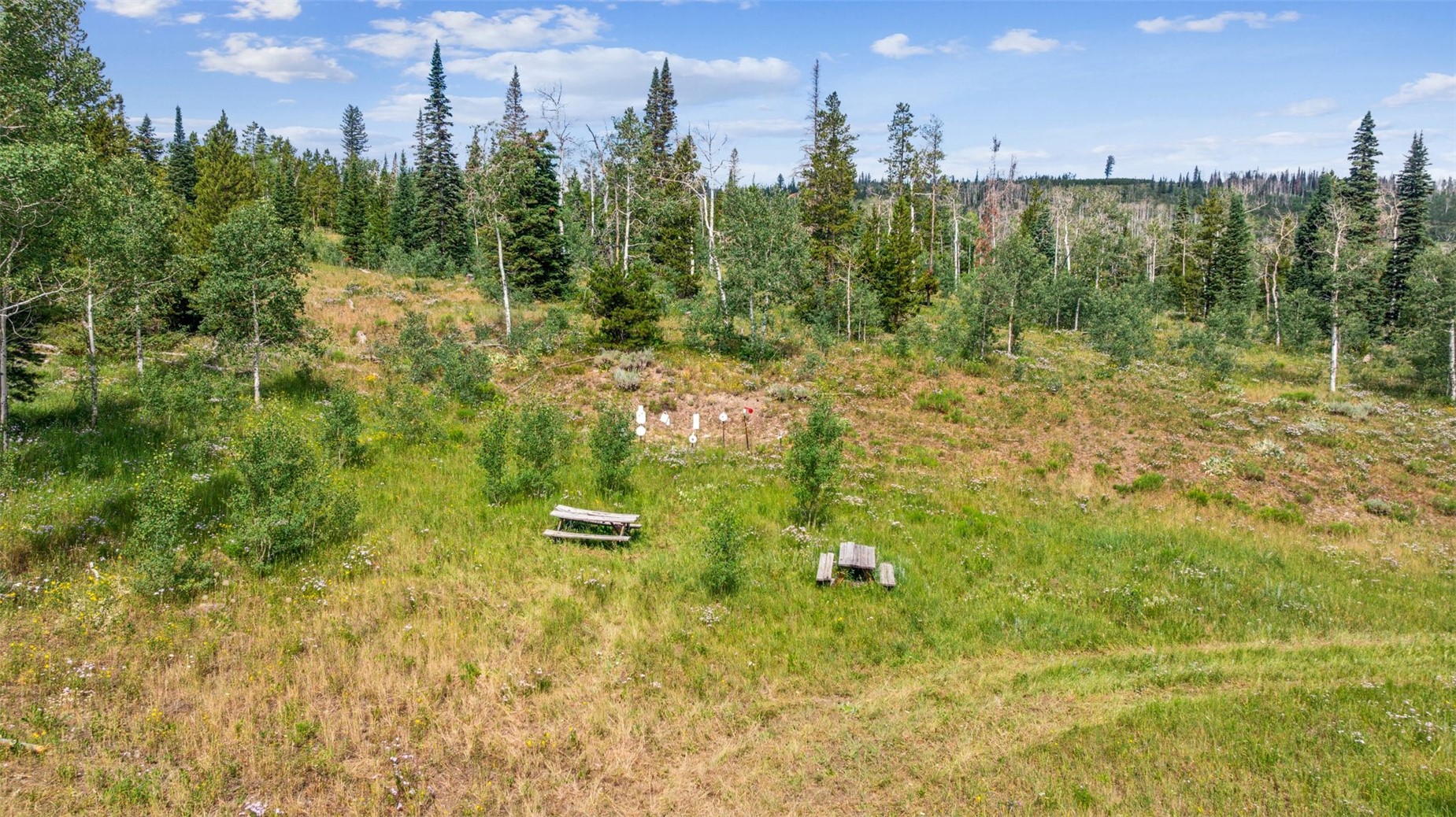 Lot Ar Lot Ar Spring Creek Ranch Road Silverthorne, CO 80498 - Photo 5 of 14