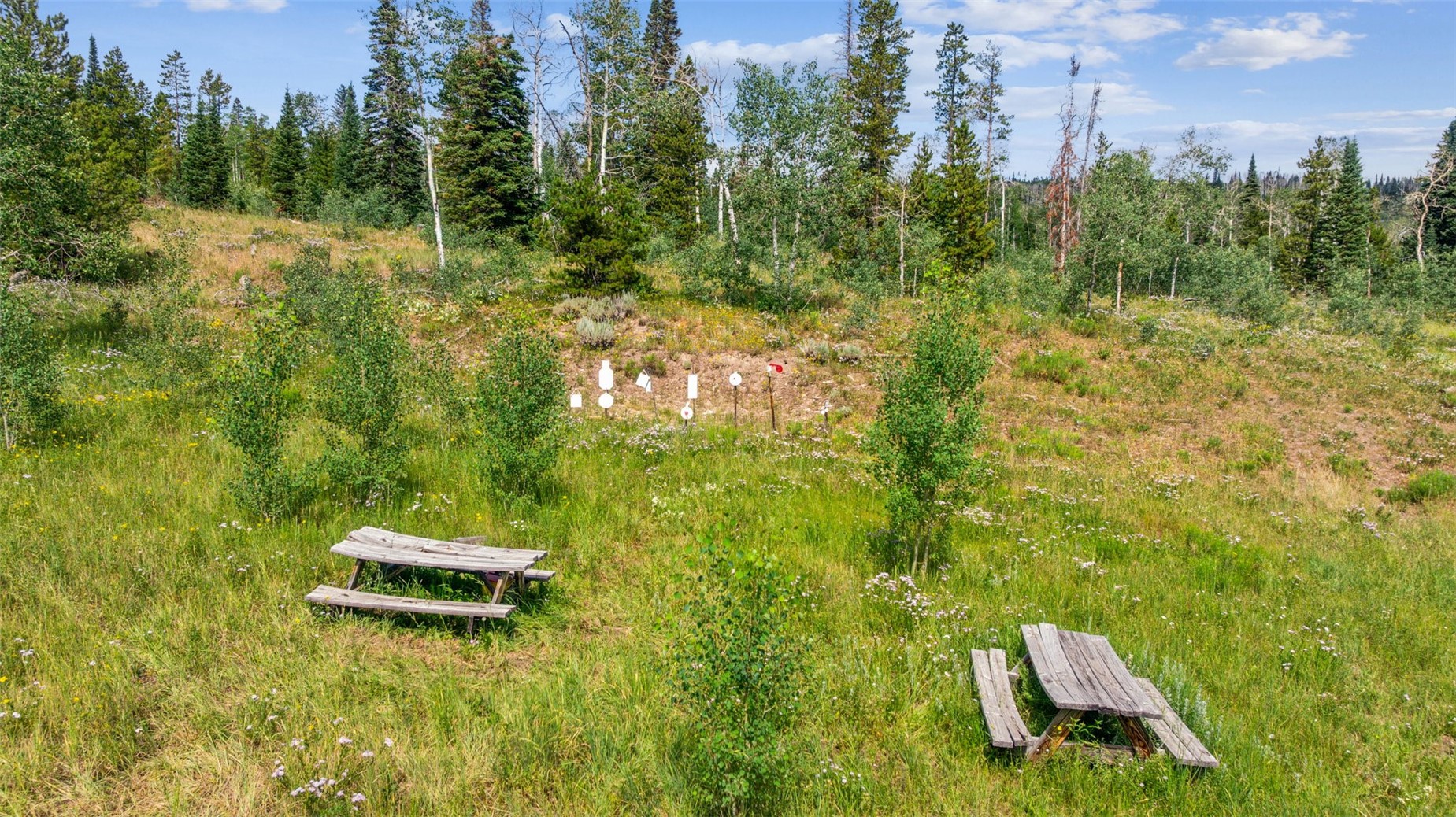 Lot Ar Lot Ar Spring Creek Ranch Road Silverthorne, CO 80498 - Photo 6 of 14
