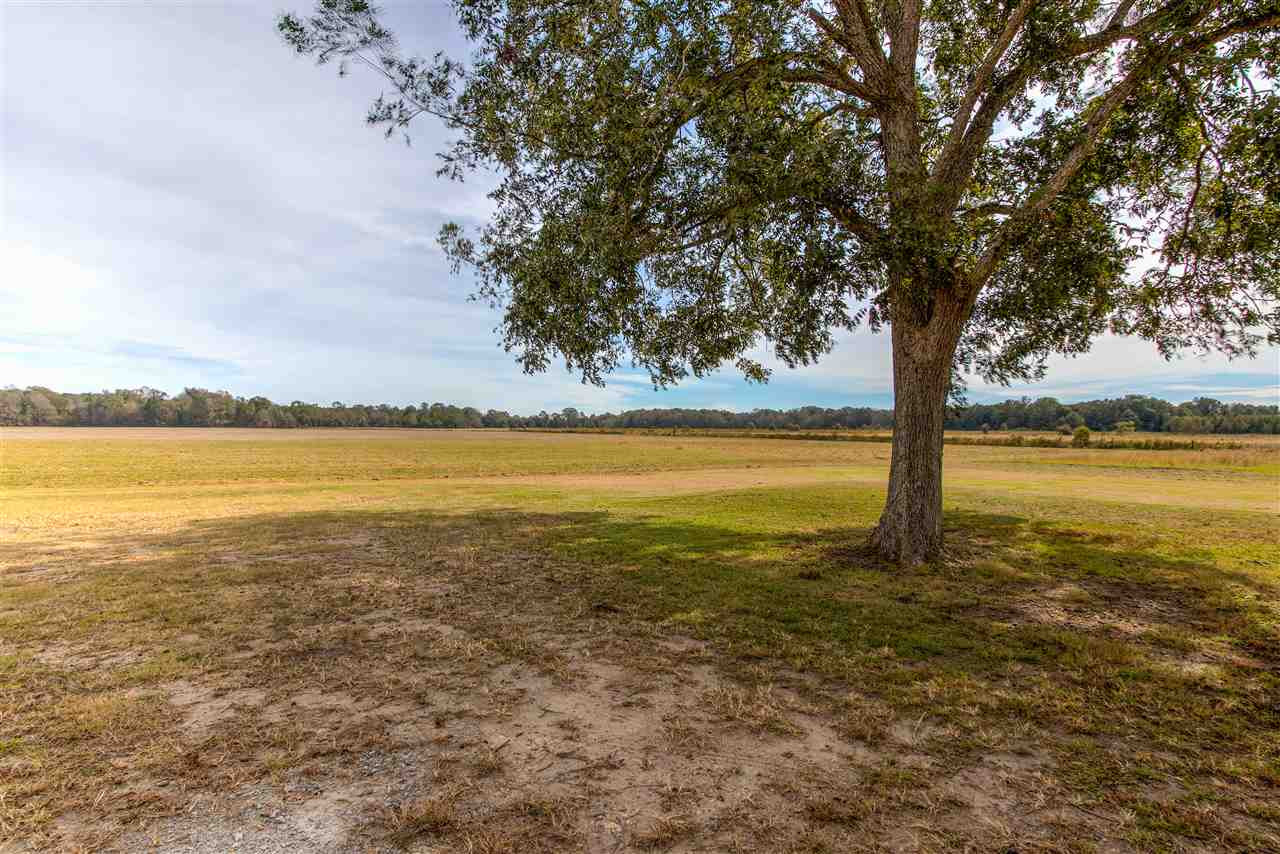 12477 Old Port Gibson Road Edwards, MS 39066 - Photo 17 of 17 Photo 18