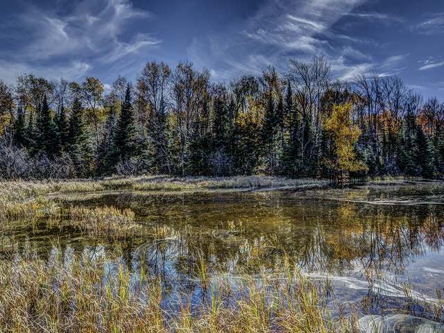 Off Nicolet Shores Road Phelps, WI 54554 - Photo 8 of 14 Gallery Image 8