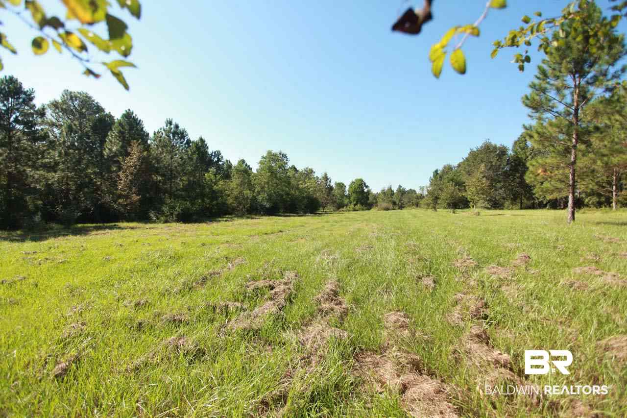 24152 Gean Road Summerdale, AL 36580 - Photo 36 of 37