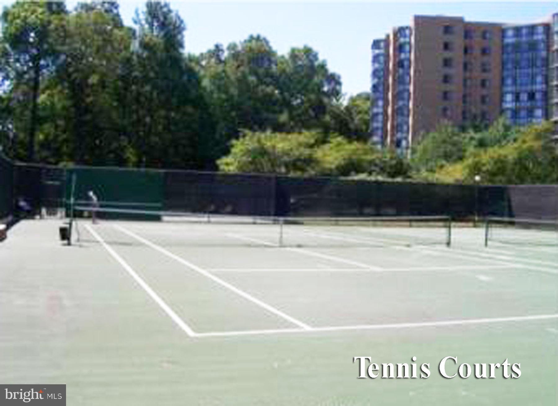 3705 Bethnal Way, Unit 33B Silver Spring, MD 20906 - Photo 29 of 32 Community tennis courts