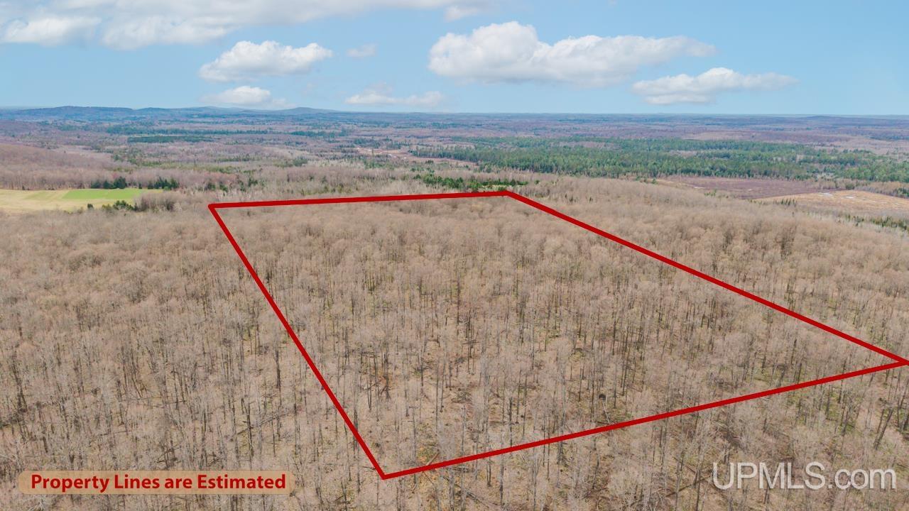 Tbd Hupp Road Vulcan, MI 49892 - Photo 12 of 12