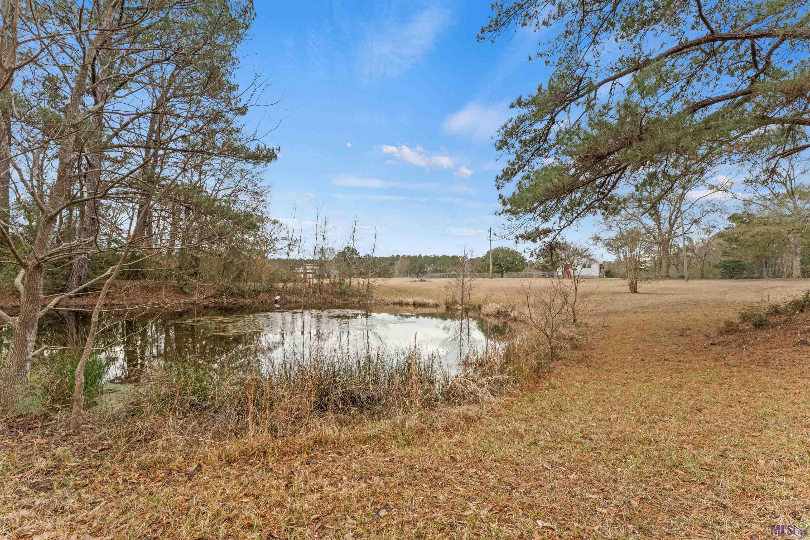 7155 Carruth Road Wilson, LA 70789 - Photo 4 of 30