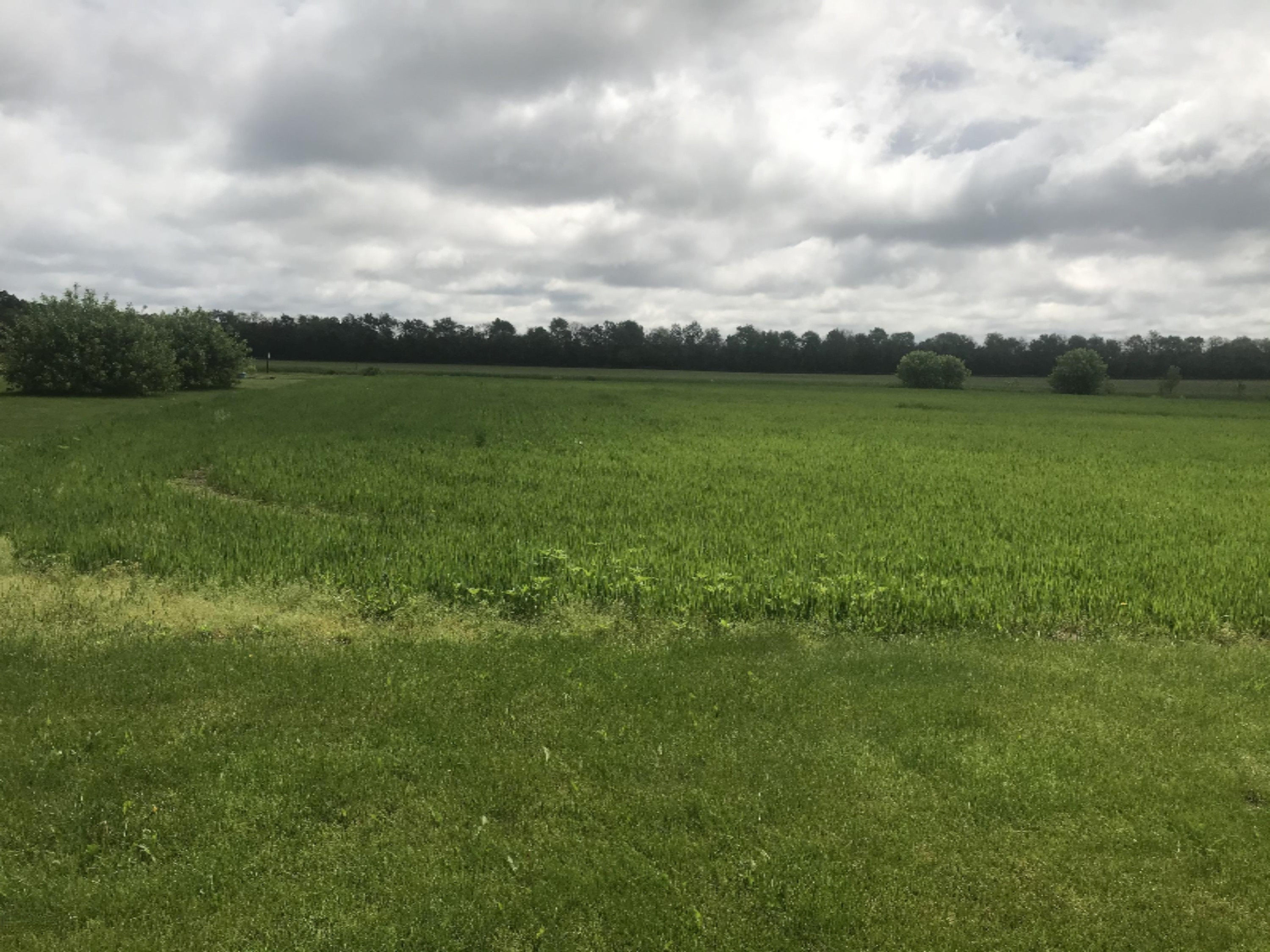 Brady Road, Unit 4 Edwardsburg, MI 49112 - Photo 3 of 4 IMG_4261