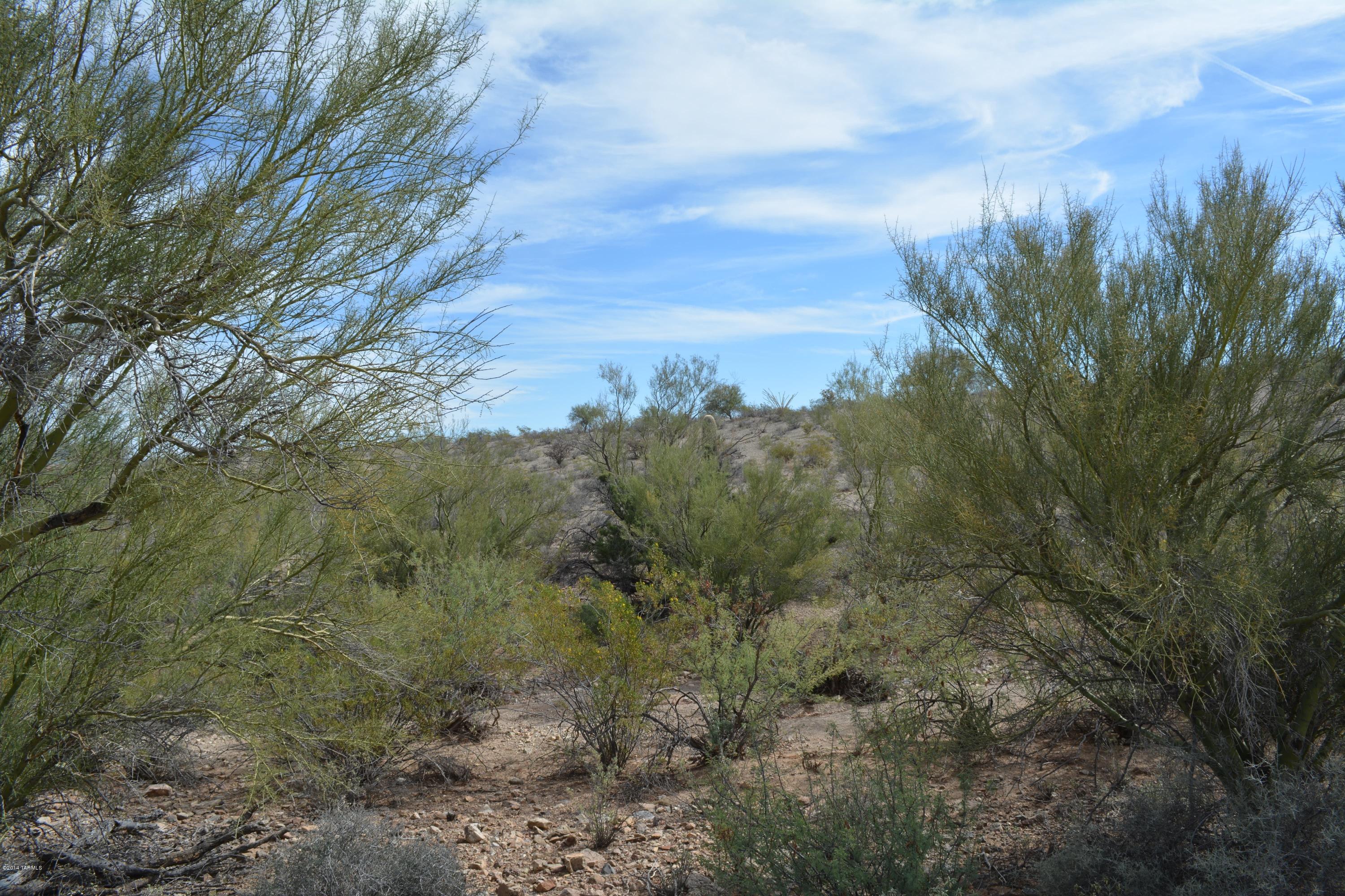4808 West Sunset Road Tucson, AZ 85743 - Photo 4 of 14 Gallery Image 4