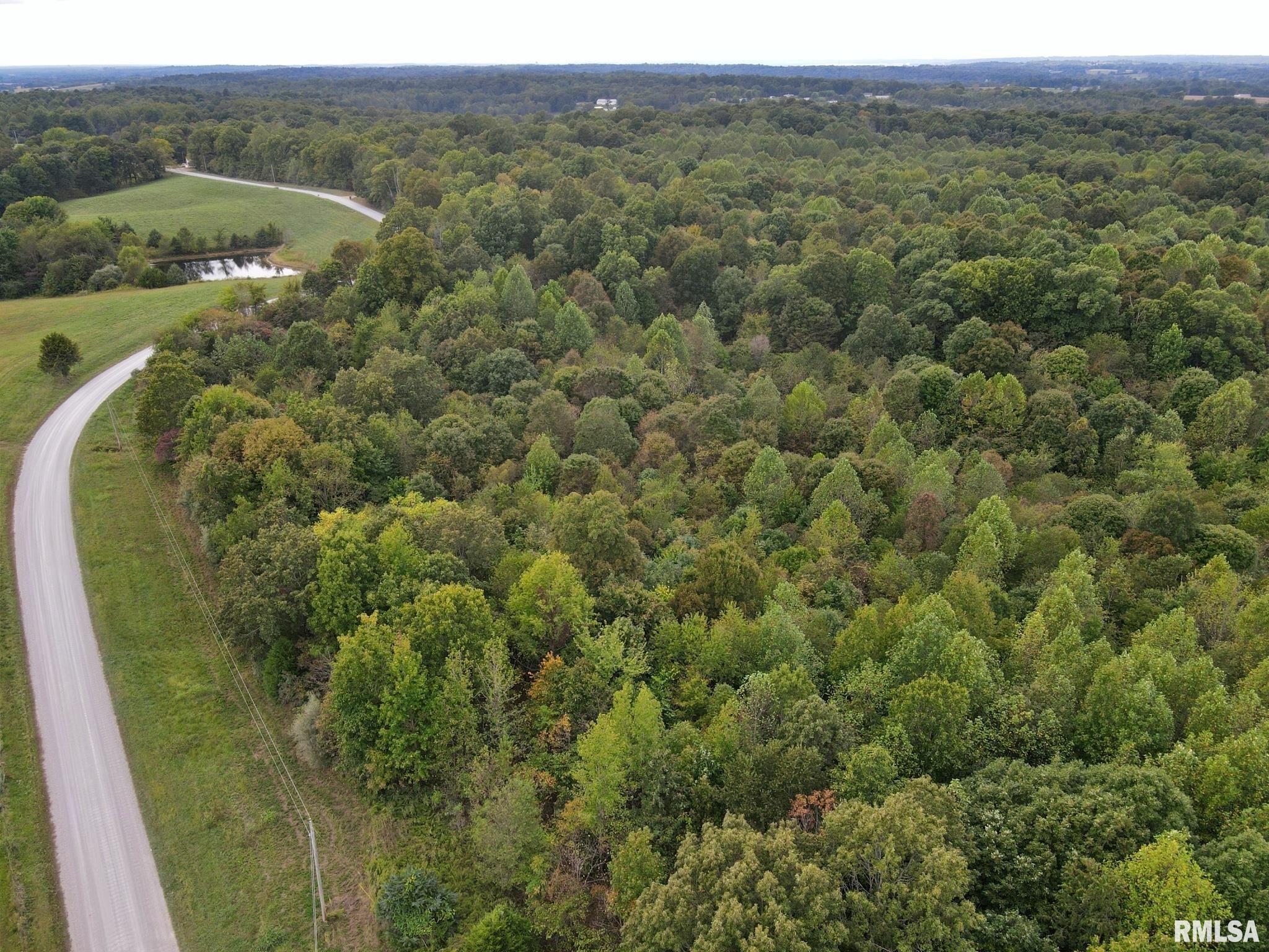 0 Kommer Road Metropolis, IL 62960 - Photo 8 of 26