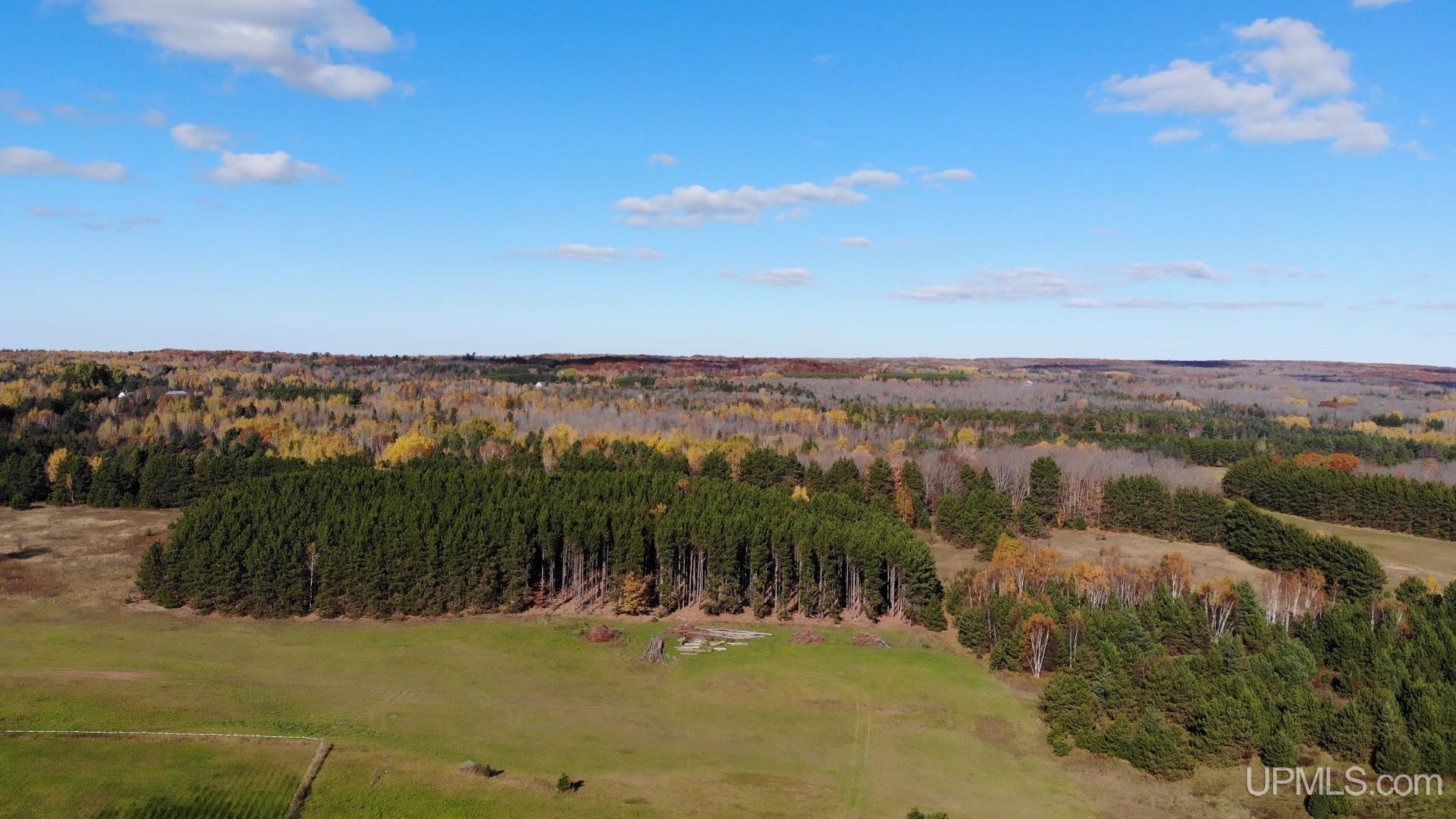 13910 Liminga Road Atlantic Mine, MI 49905 - Photo 51 of 54