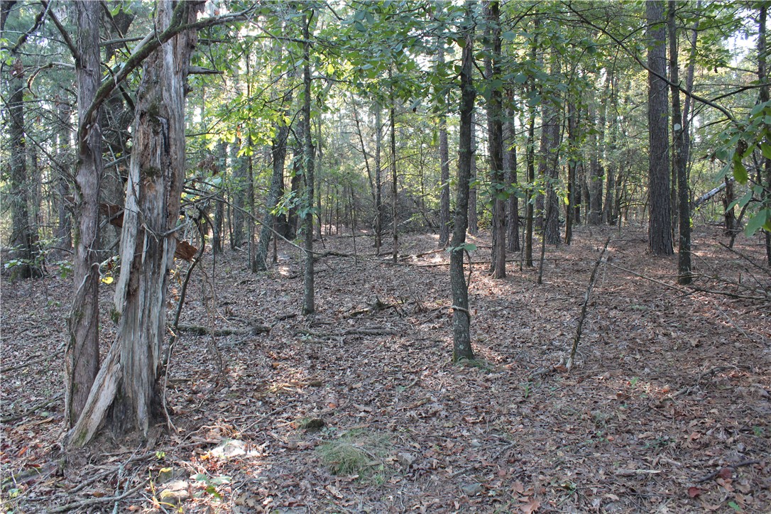 990 Mahan Drive Center Ridge, AR 72027 - Photo 26 of 31 Gallery Image 26