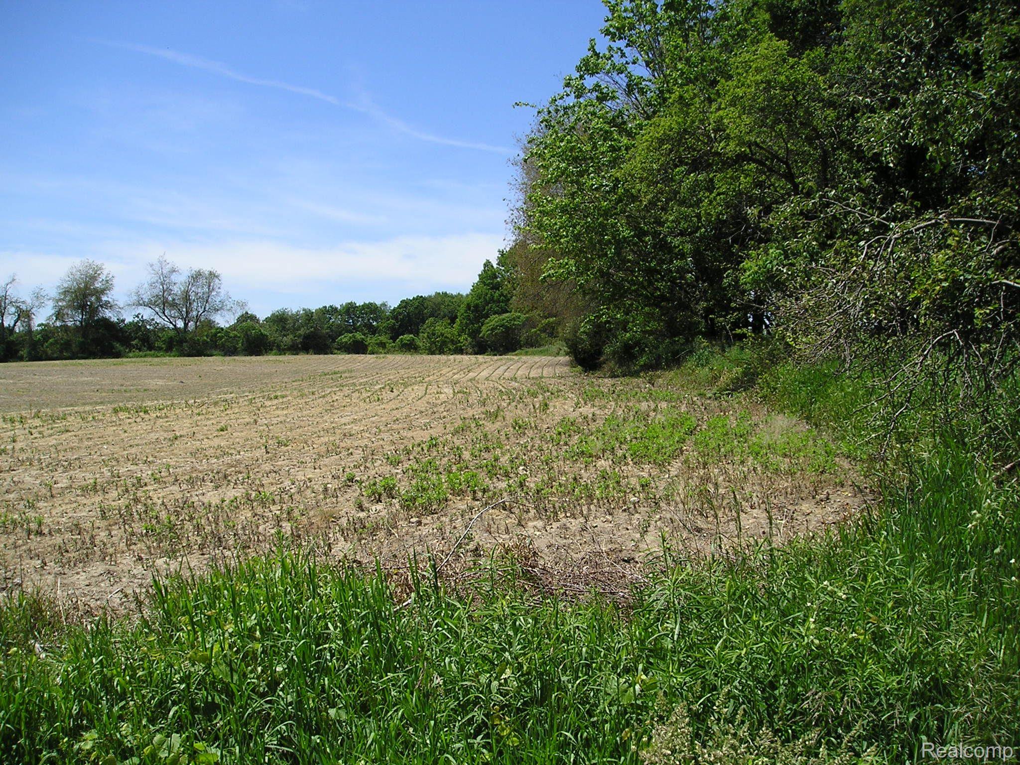 4249 East Hunters Creek Road Metamora, MI 48455 - Photo 11 of 19 View of field along L:k Pleasant Rd. Northest cor