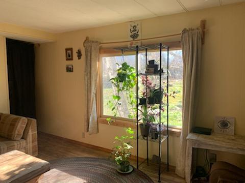5353 Holland Loop Road Cave Junction, OR 97523 - Photo 16 of 24 16