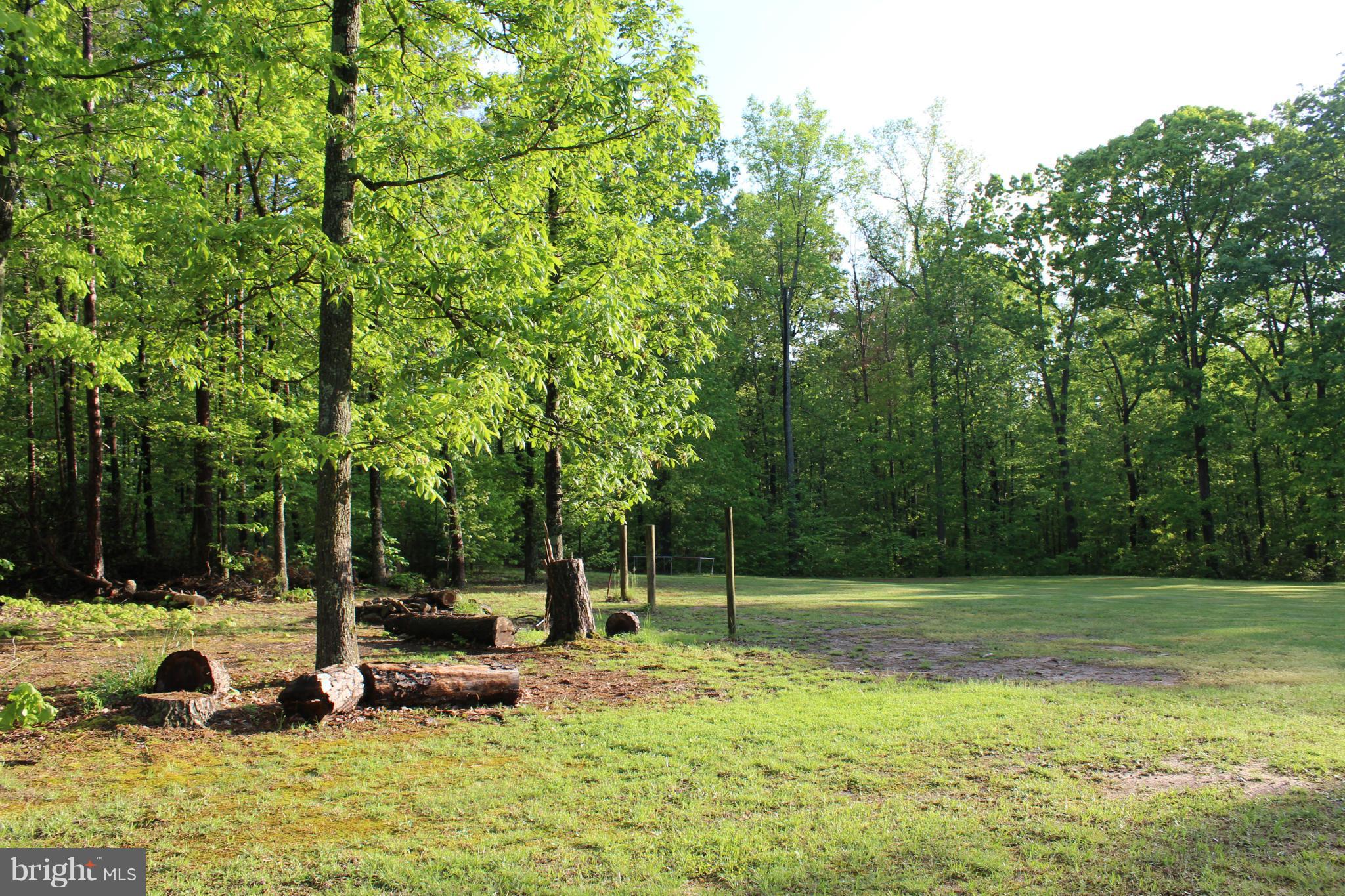 9350 Dutch Hollow Road Rixeyville, VA 22737 - Photo 23 of 25 View