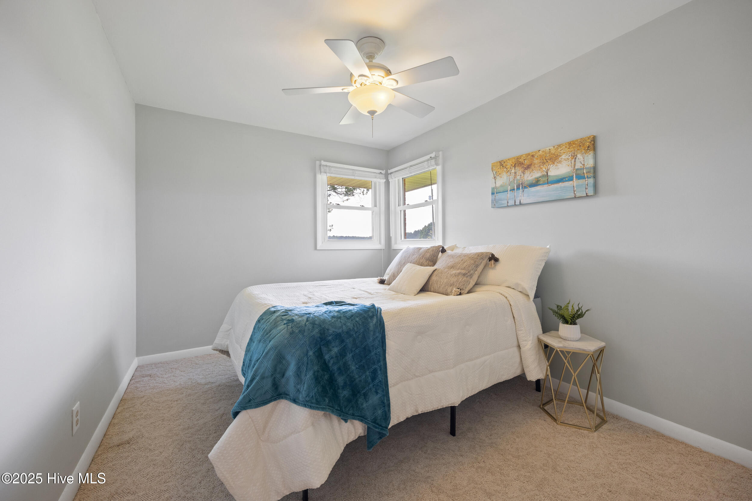 644 Happy Home Road Tyner, NC 27980 - Photo 15 of 28 Queen bed