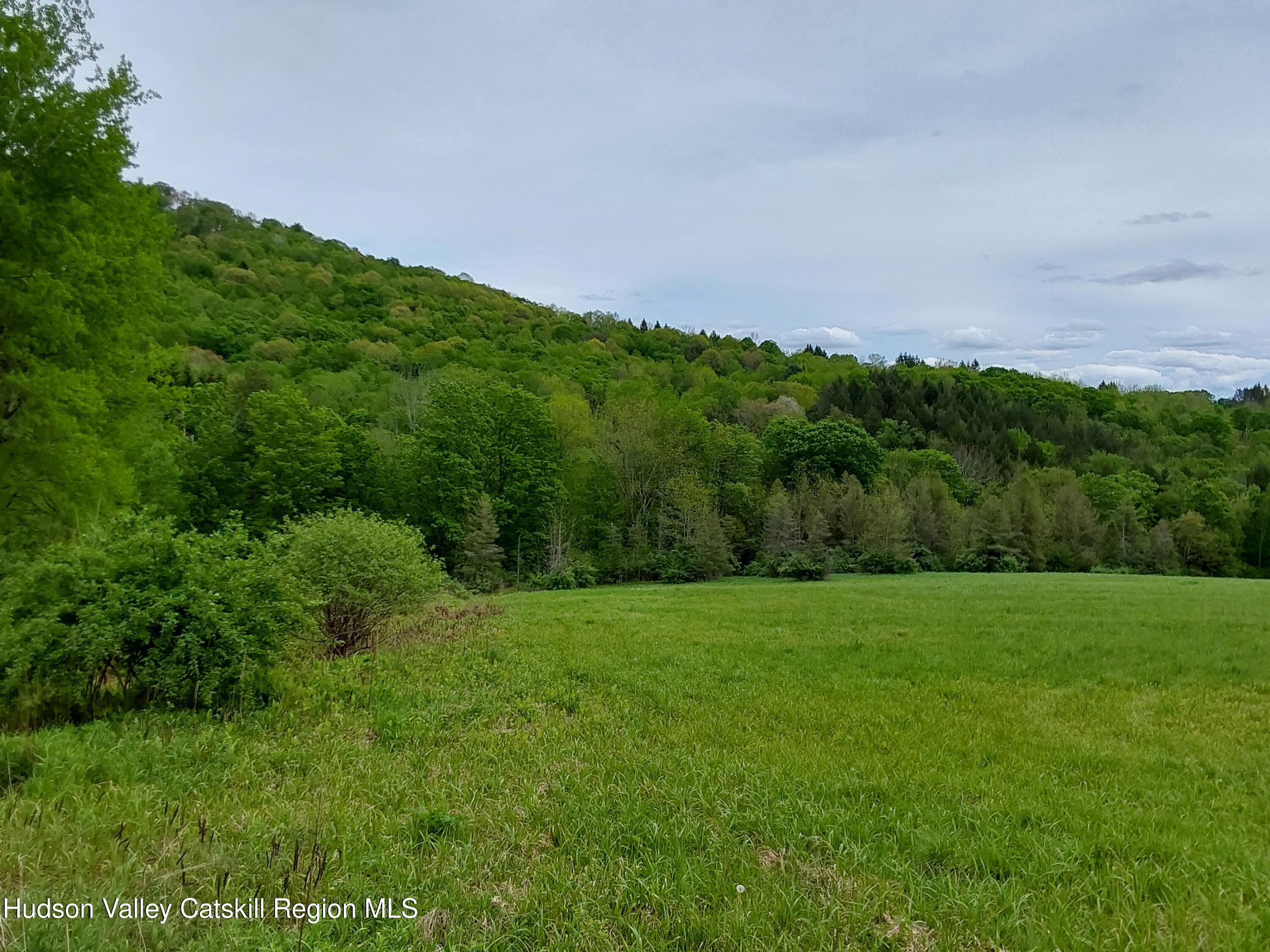 Tbd Upper Dingle Hill Road Andes, NY 13731 - Photo 8 of 44 1000000360