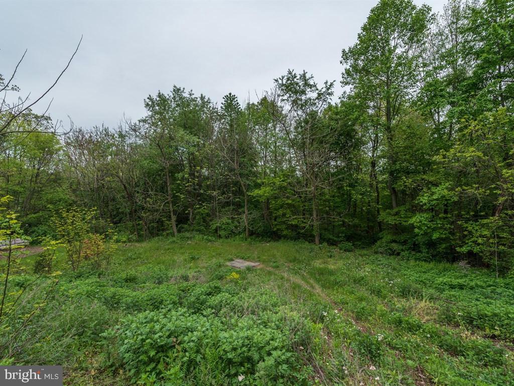 137 Ridge Avenue Ephrata, PA 17522 - Photo 20 of 23 Gallery Image 20