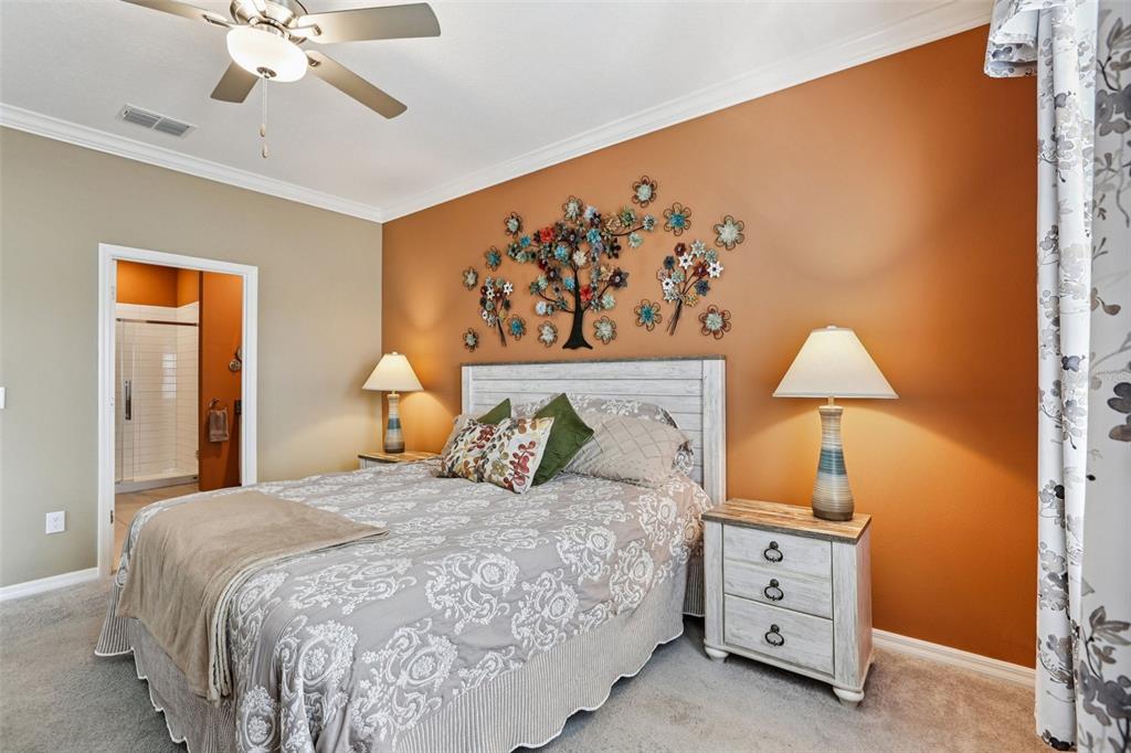 6862 Ripple Pond Loop Zephyrhills, FL 33541 - Photo 16 of 39 Gallery Image 16