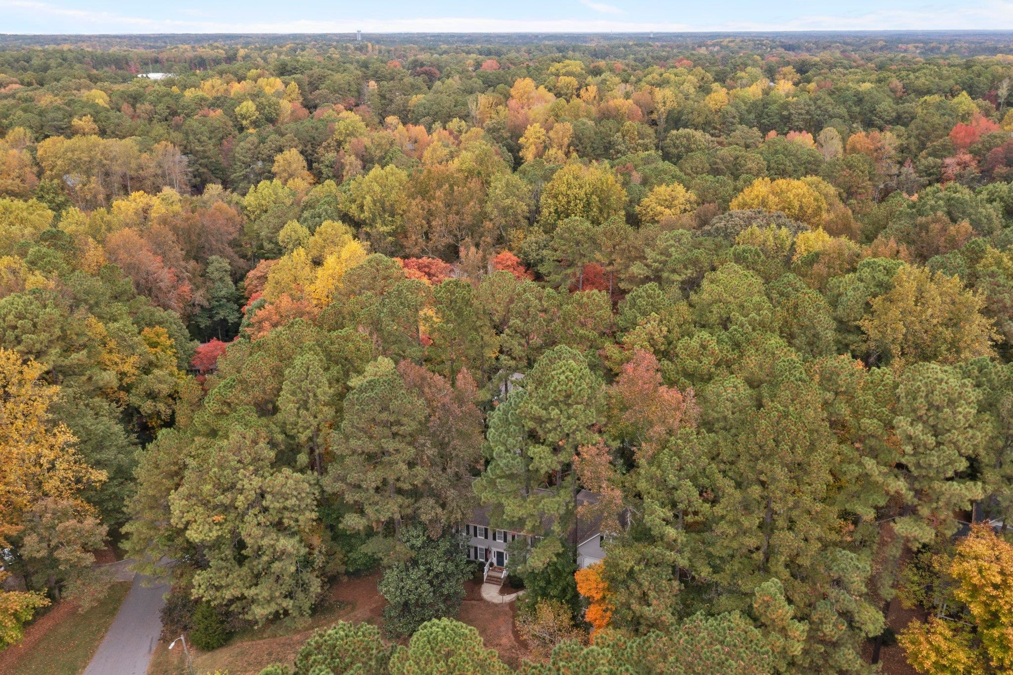 8709 Langtree Lane Raleigh, NC 27613 - Photo 44 of 49 Photo 44