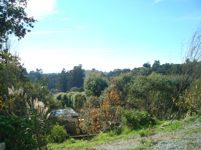 6995 Langley Canyon Road Salinas, CA 93907 - Photo 13 of 14 Gallery Image 13