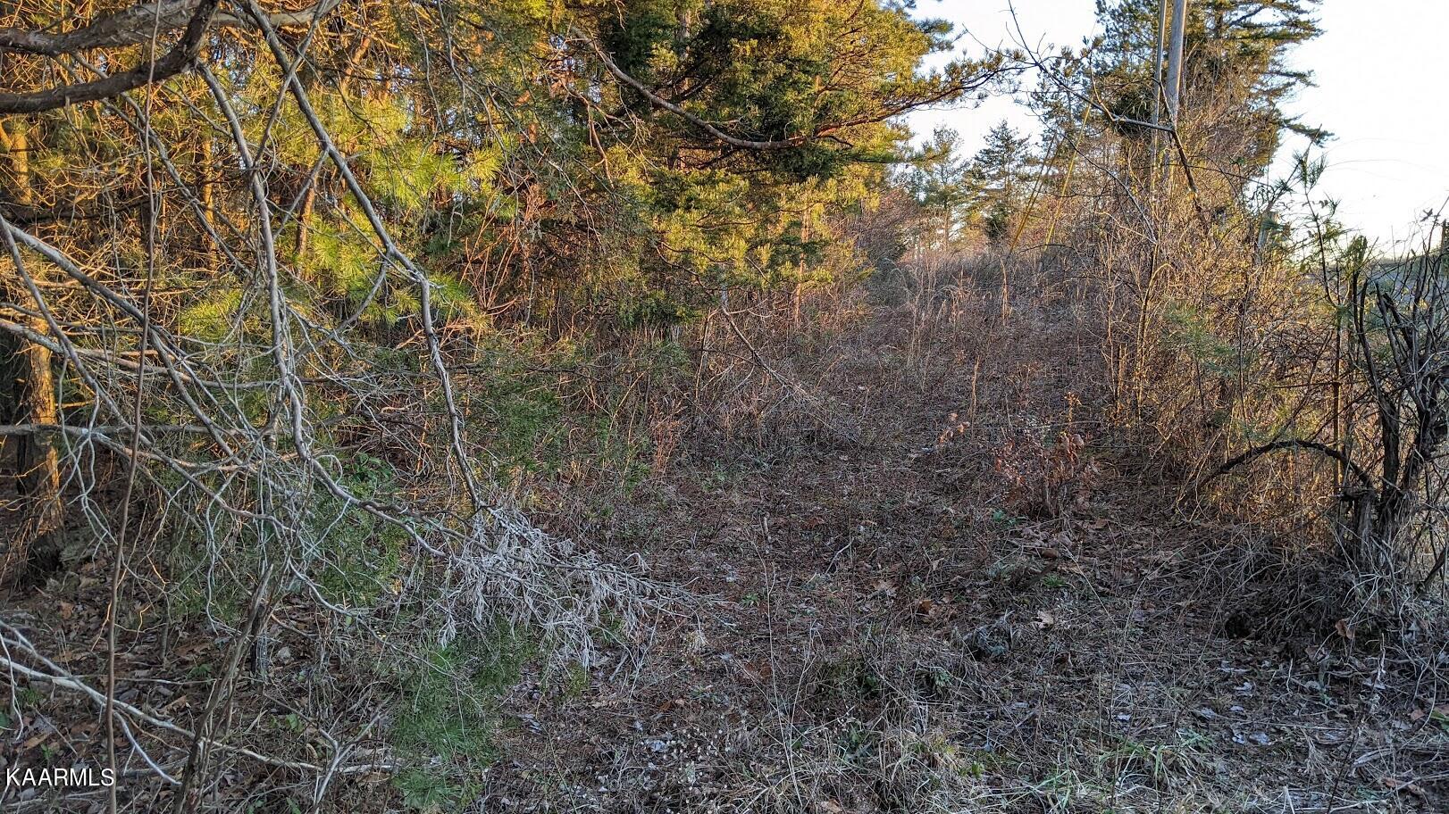 Boone Ridge Road Jamestown, TN 38556 - Photo 5 of 15 PXL_20220208_225758137