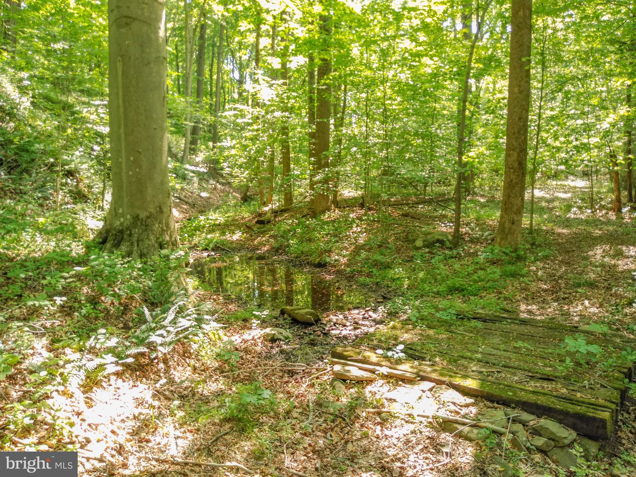 1401 Singer Road Joppa, MD 21085 - Photo 38 of 52 Gallery Image 38