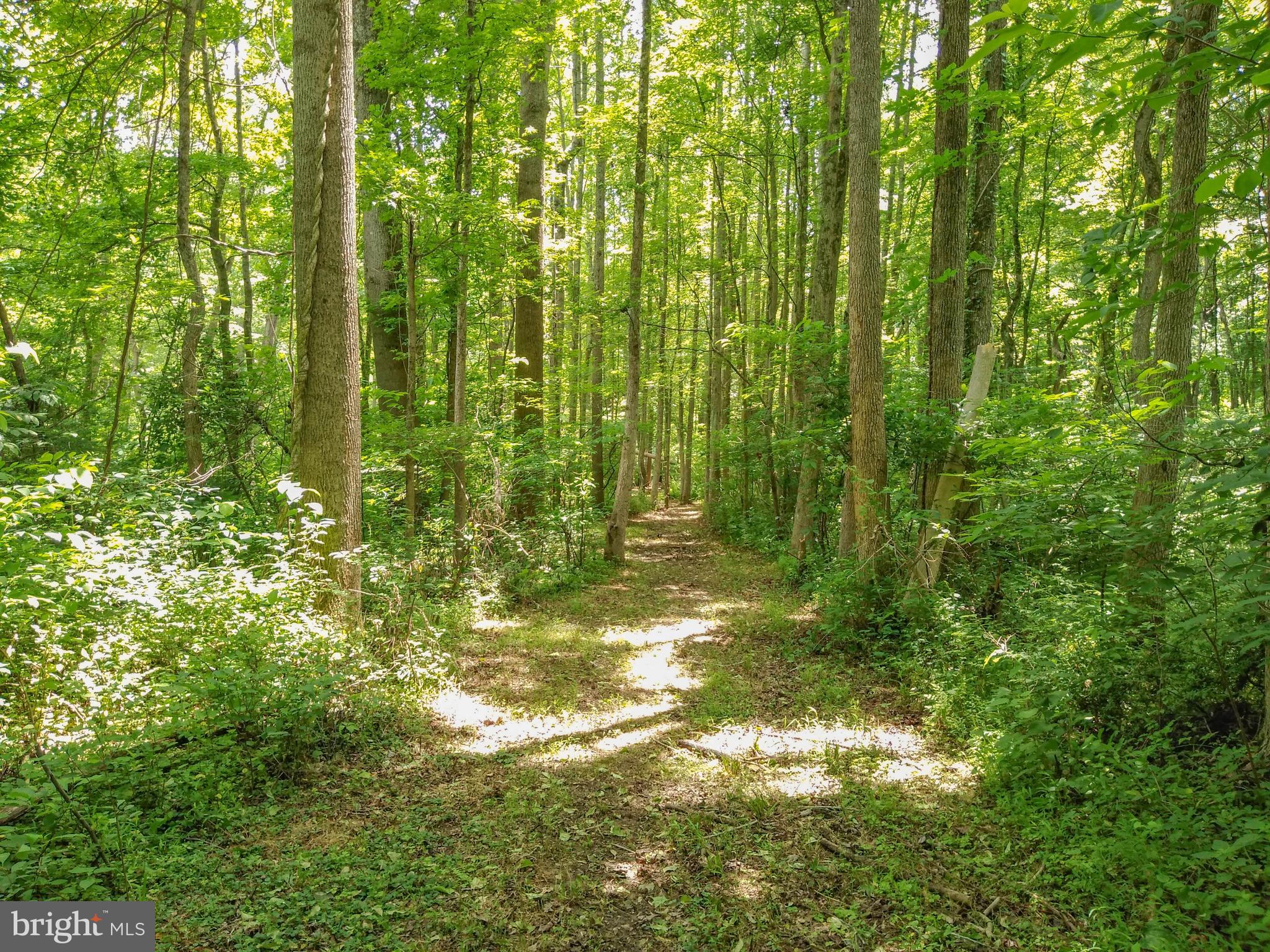 1401 Singer Road Joppa, MD 21085 - Photo 45 of 52 Gallery Image 45