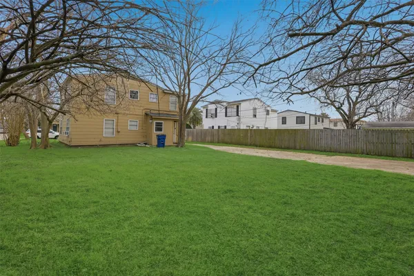a view of a yard with plants and large trees