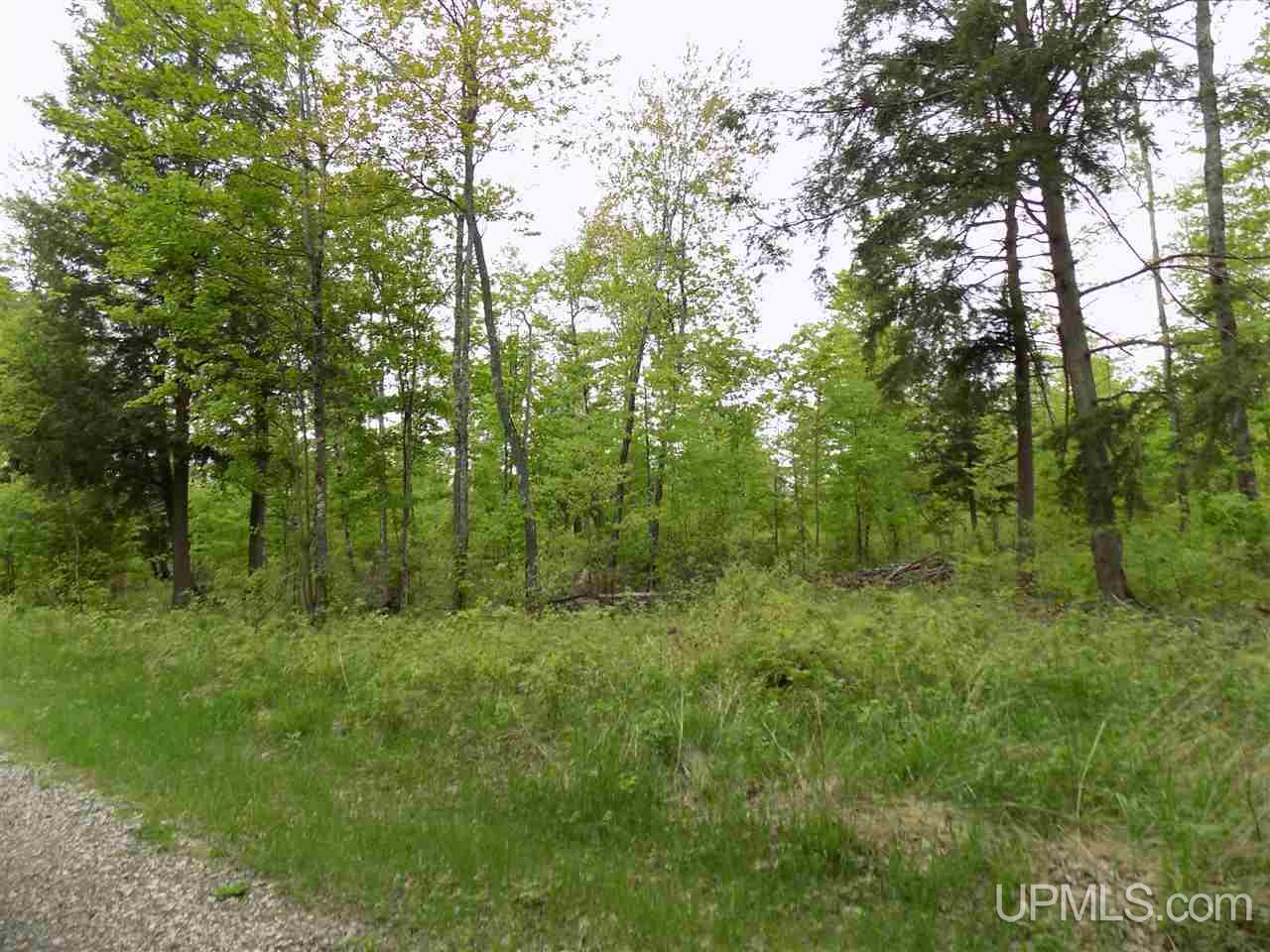 Tbd Slim's Road, Unit PARCEL B Manistique, MI 49854 - Photo 20 of 21