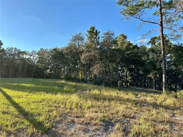a view of a lake view with a big yard