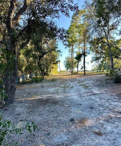 a view of dirt yard with a trees