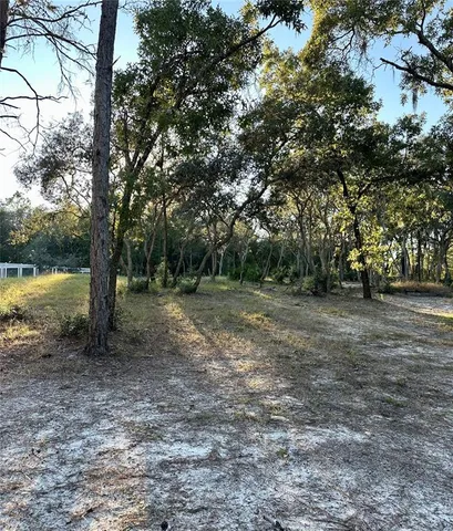 a view of outdoor space with deck and tree